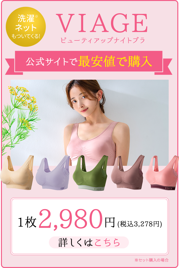 VIAGE：公式サイトで最安値で購入・洗濯ネットもついてくる!